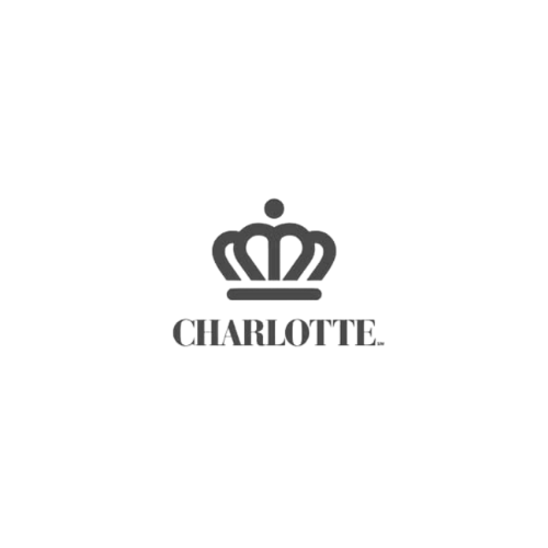 Charlotte Party Rentals